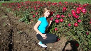 (מספר מזהה:23464)